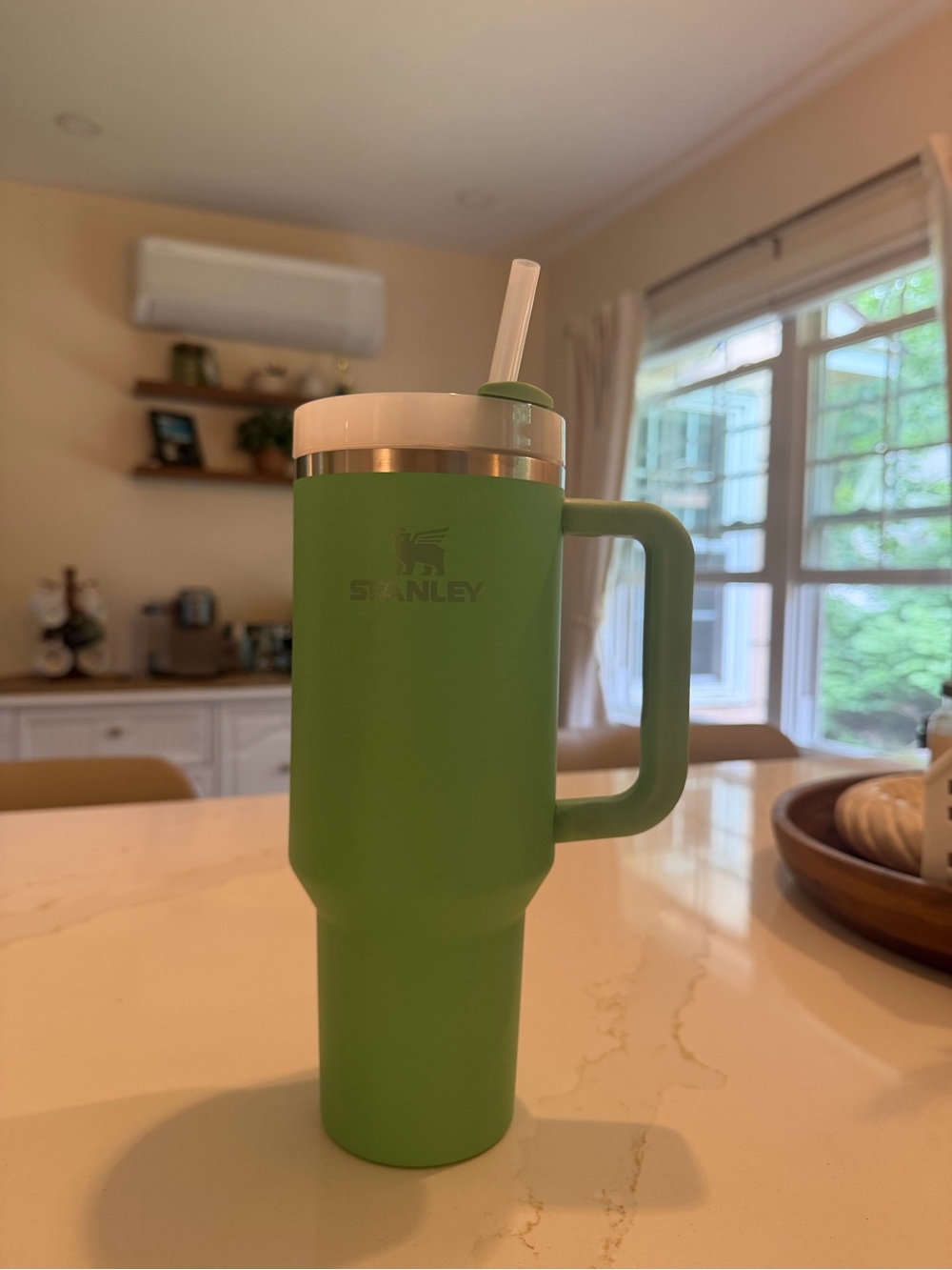 Stanley Green Insulated Travel Mug with Handle and Straw